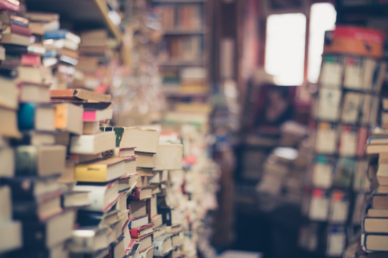 librairie-LA MARTRE-min_books-1163695